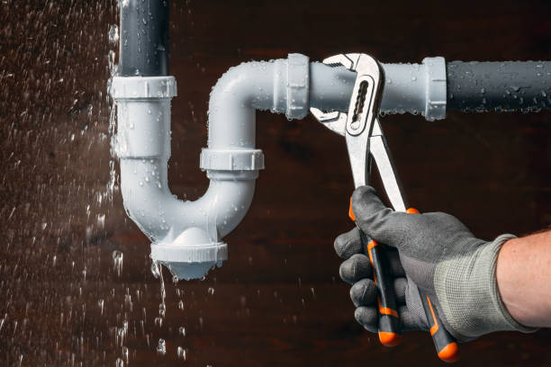 Professional Emergency Plumber technician working in Lane, IL